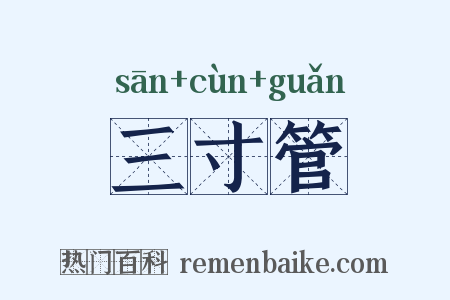 三寸管是什么意思的图片